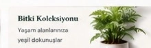 Bitki Koleksiyonu